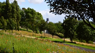 picture of Everton park