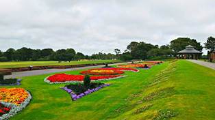 picture of stanley park