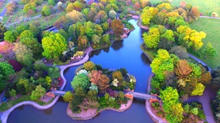 picture of stanley park