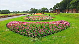 picture of stanley park
