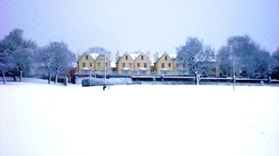 picture of stanley park