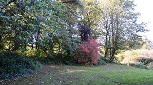 picture of stanley park